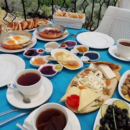 Mavi Melek Проживание в семье *
